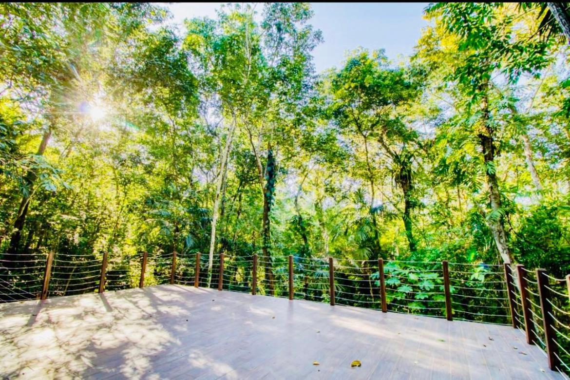 Mariposa Jungle Lodge Сан-Игнасио Экстерьер фото